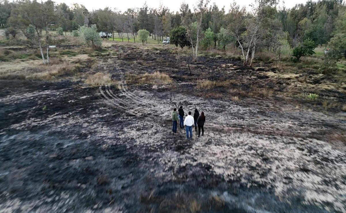 Fuertes vientos provocaron incendio en el Parque Tangamanga. Foto: Especial