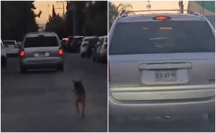 Captan a perrito corriendo tras camioneta tras ser abandonado en SLP; exigen castigo para el responsable