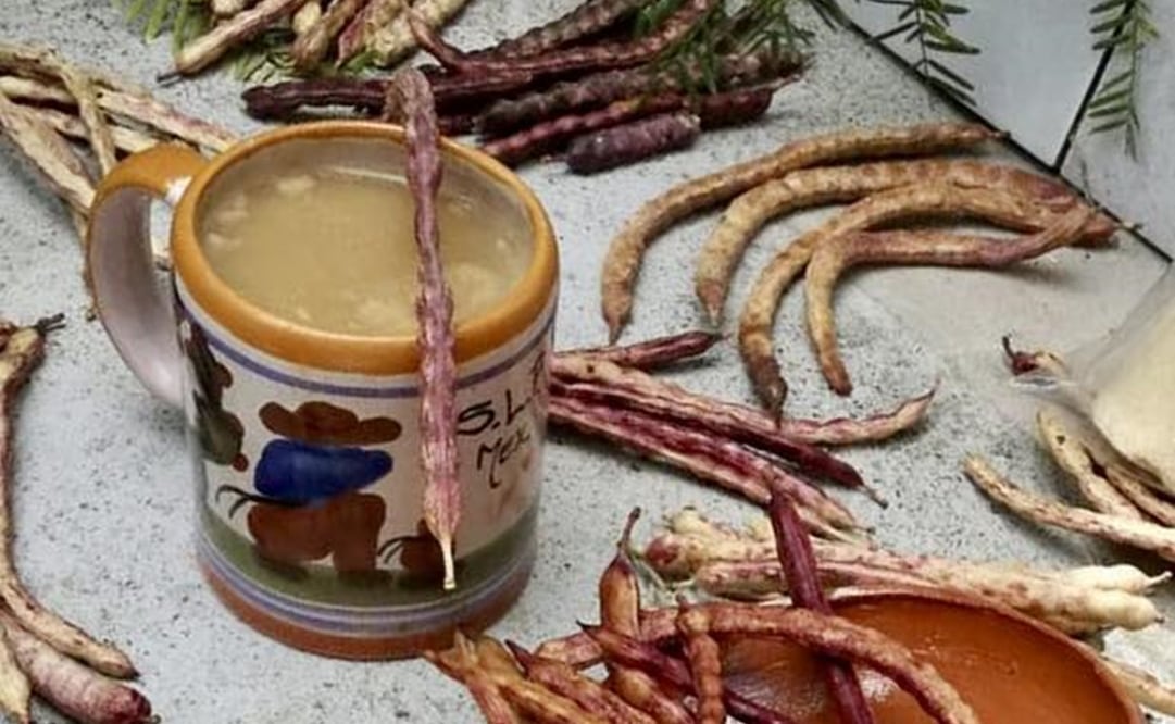 El atole de mezquite es una bebida ancestral con muchos nutrientes. Foto: Cerritos San Luis Potosí