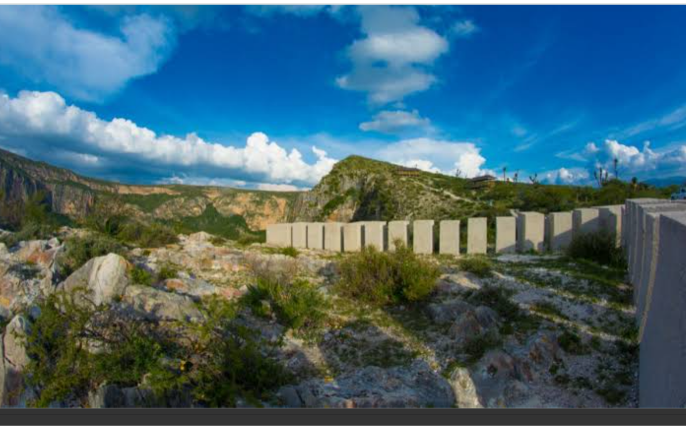 Gobierno de SLP realiza mega reforestación en la Joya Honda; siembran 5 mil plantas y árboles