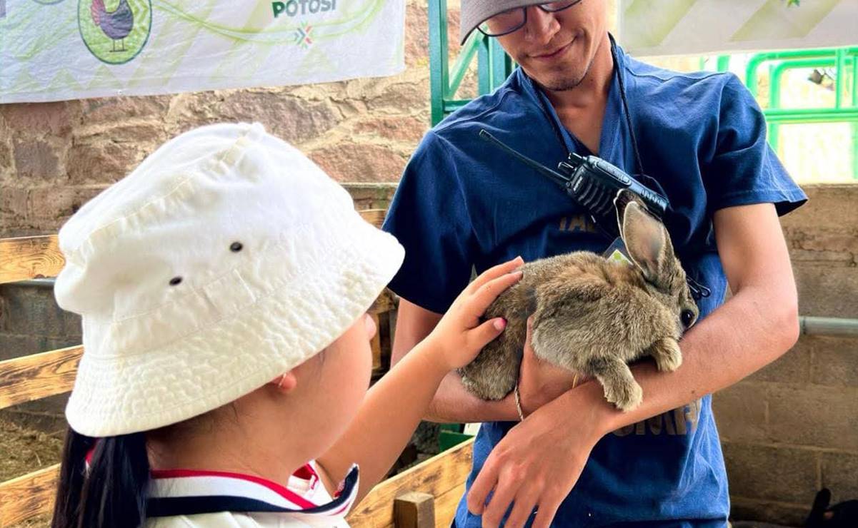Tras caso de carrusel de ponis, animalistas celebran acuerdo contra maltrato en la Fenapo