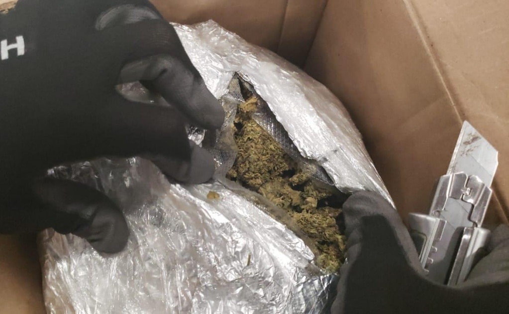 Decomisan 52 kilos de marihuana en aeropuerto de SLP