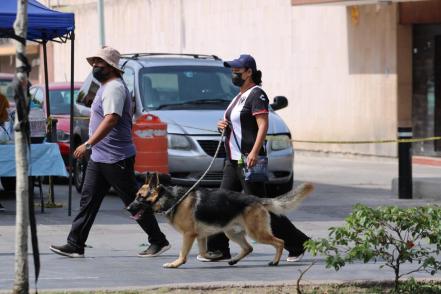 ¡Inscribe a tu lomito! Se acerca la Carrera Perrona en la capital de SLP 