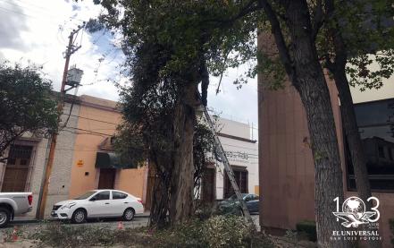 Cambian imagen de la explanada del edificio Presidente Juárez del Congreso del Estado