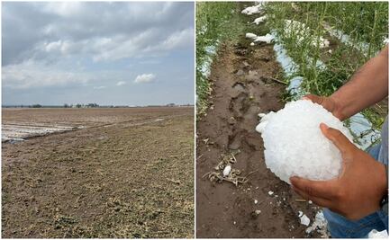 Fuertes granizadas dejaron alrededor de 400 mdp de pérdidas en el primer trimestre de 2026 en el Altiplano