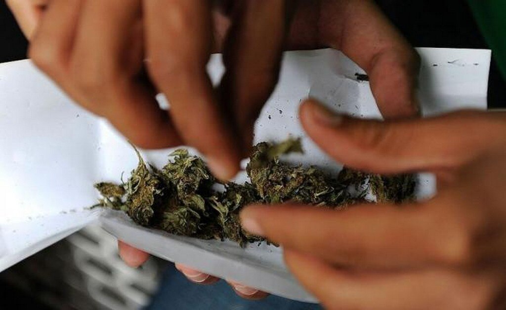  Marihuana en México: qué implica el fallo de la Suprema Corte y qué dudas plantea su decisión