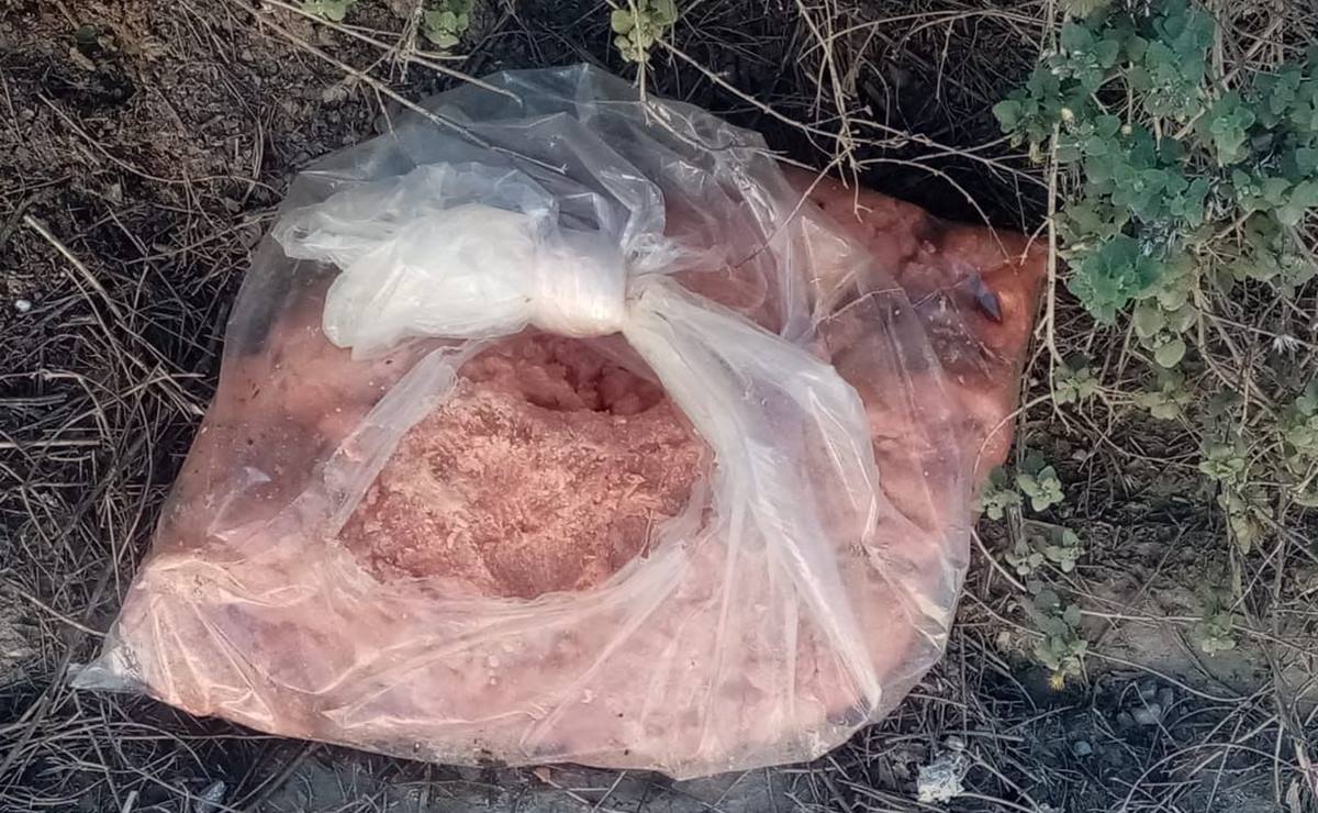 Mediante los grupos de vecinos, alertaron sobre lo ocurrido y se compartieron algunas fotografías de bolsas de carne abandonadas. Foto: Cortesía