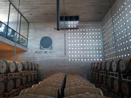 Pozo de Luna, el vino soledense que catapulta a SLP en el reconocimiento internacional