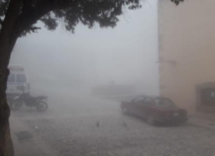 “Candelilla” cubre comunidades de Real de Catorce