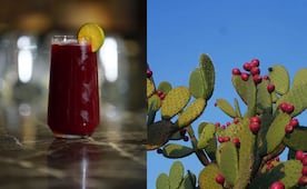 Refréscate con esta delicia agua de colonche potosina; te enseñamos a prepararla