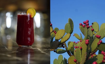 Refréscate con esta delicia agua de colonche potosina; te enseñamos a prepararla