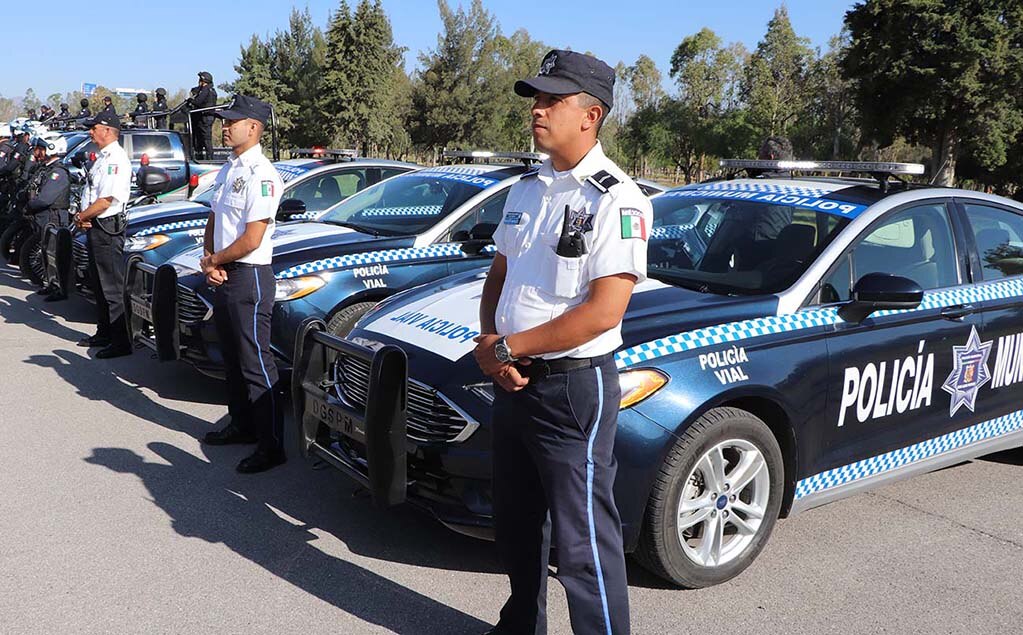 Nueve empresas participan en licitación para arrendamiento de vehículos