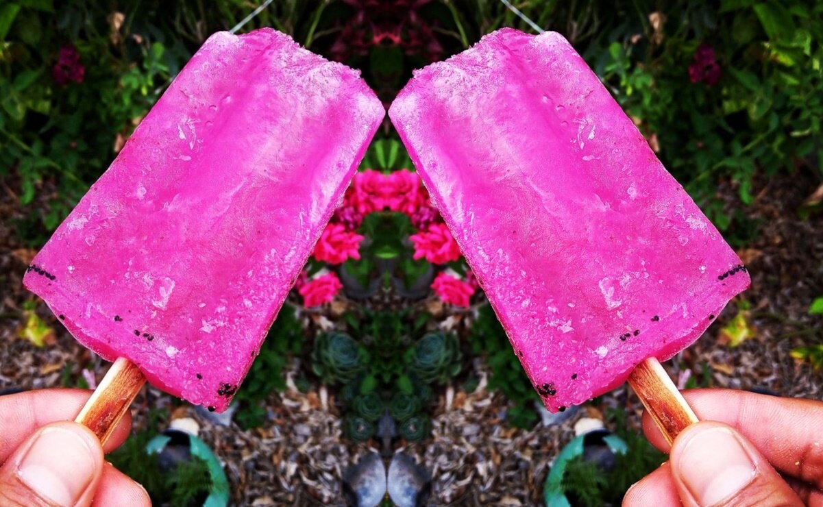 Paletas de garambullo, la fresca tradición de Cerritos, San Luis Potosí