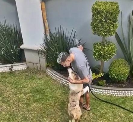 Día Mundial del Perro. Ana Bárbara, Rubí Ibarra, Enrique Galindo, y otros potosinos amantes de los perritos