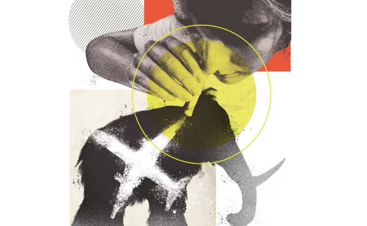 Narco buscó estrenar el AIFA; aeropuerto incautó cocaína, metanfetamina y fentanilo