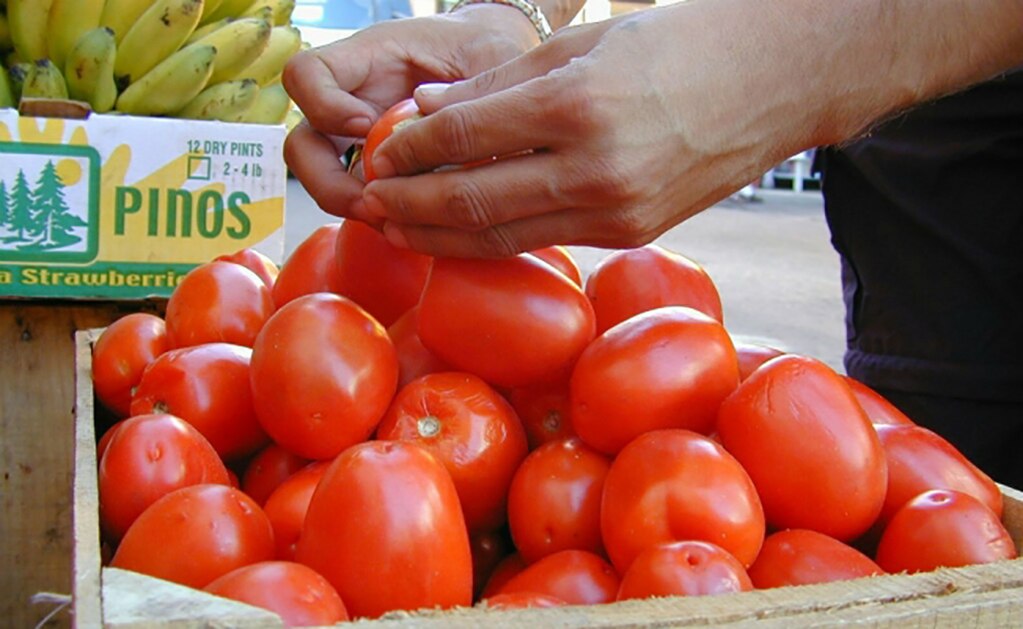 Acuerdo de exportación de jitomate México-EU entrará en vigor el 19 de septiembre