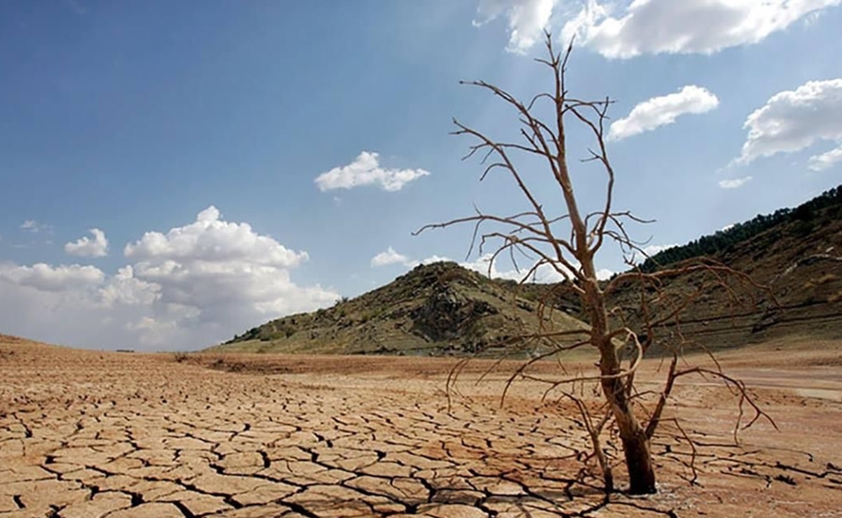 Se mantiene las sequías en 11 municipios de San Luis Potosí. Foto: Archivo EL UNIVERSAL