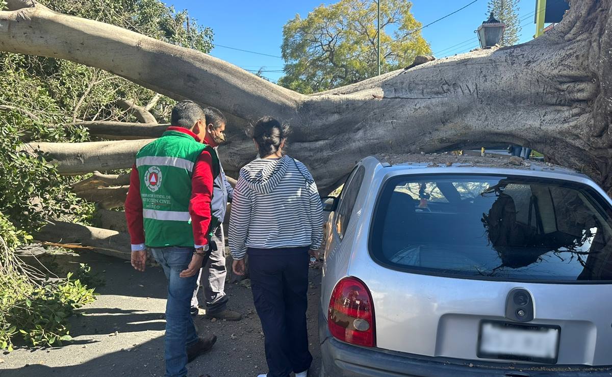 Ráfagas de viento en la capital de SLP dejan múltiples daños materiales 
