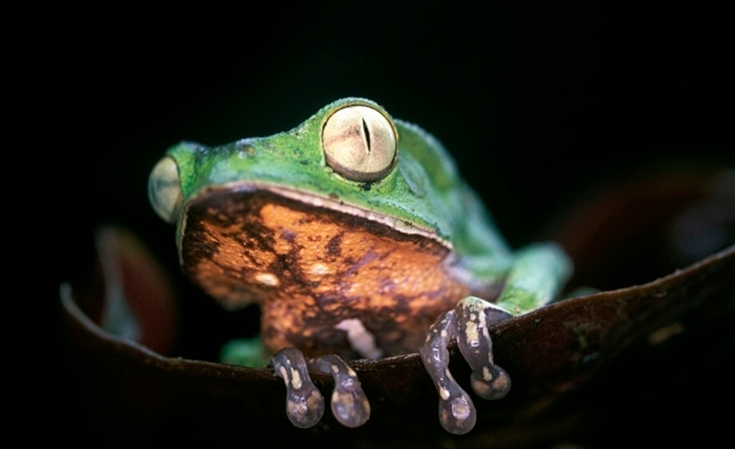 Foto: EFE | El Universal