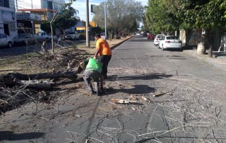 Operativo “Fuertes vientos 2020” atiende más de 170 reportes en SLP