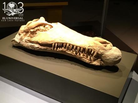 Exposición “Reptiles del Pasado y del Presente” se presenta en el Laberinto