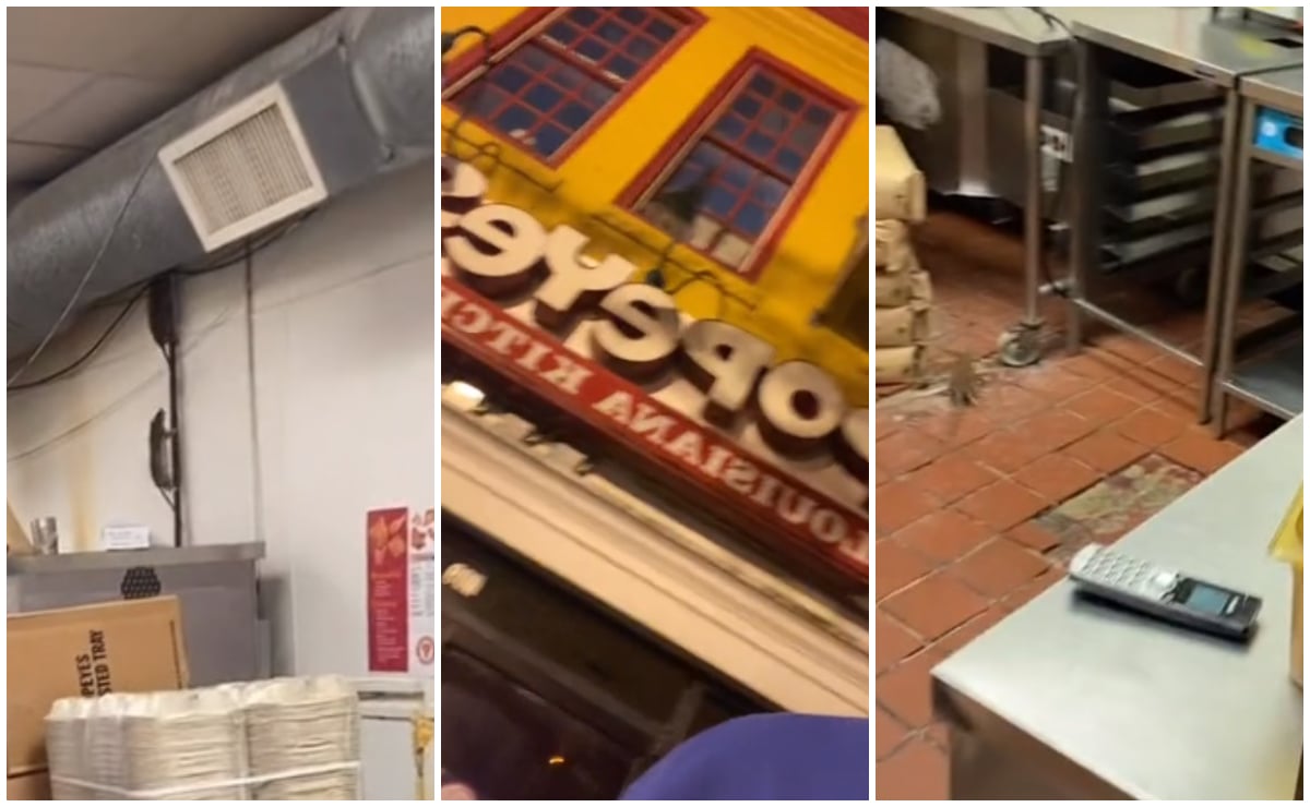 Expone en TikTok plaga de ratas en famosa cadena de restaurantes