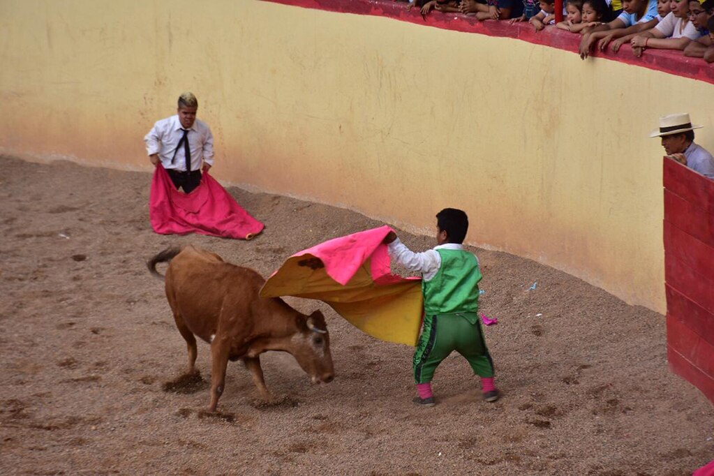 Realizan primer Festival Taurino