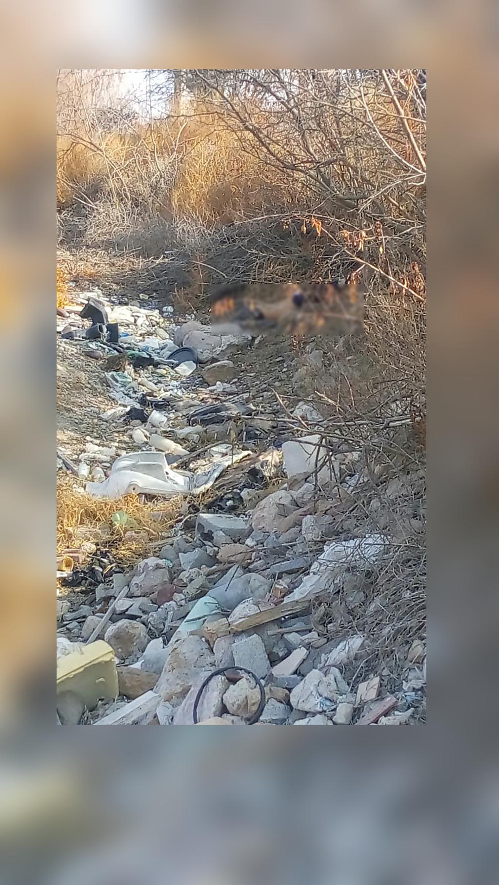 Encuentran cuerpo en camino al aeropuerto