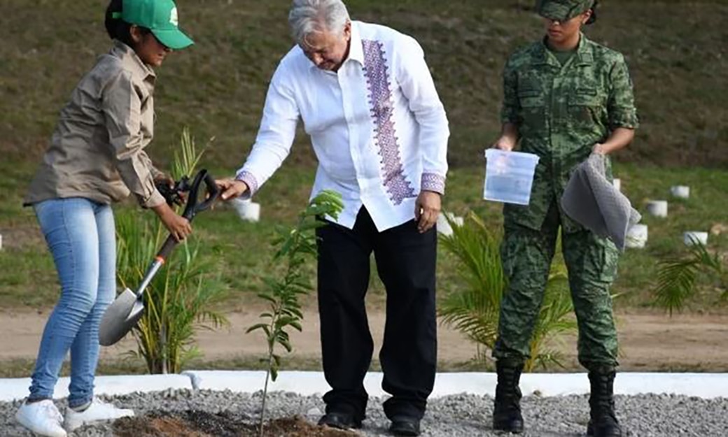 Programa Sembrando Vida llegará a Guerrero y Oaxaca