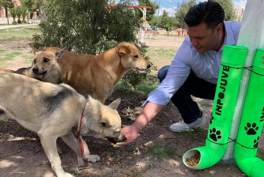 Este domingo realizarán la campaña “Adopta a un amigo”