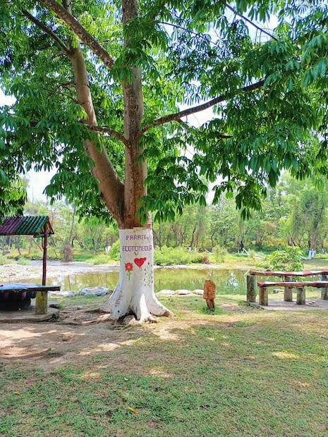 Ecotombola en Axtla de terrazas, SLP. Foto: Fb@Ecotombola