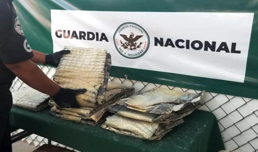 Foto: Twitter Guardia Nacional