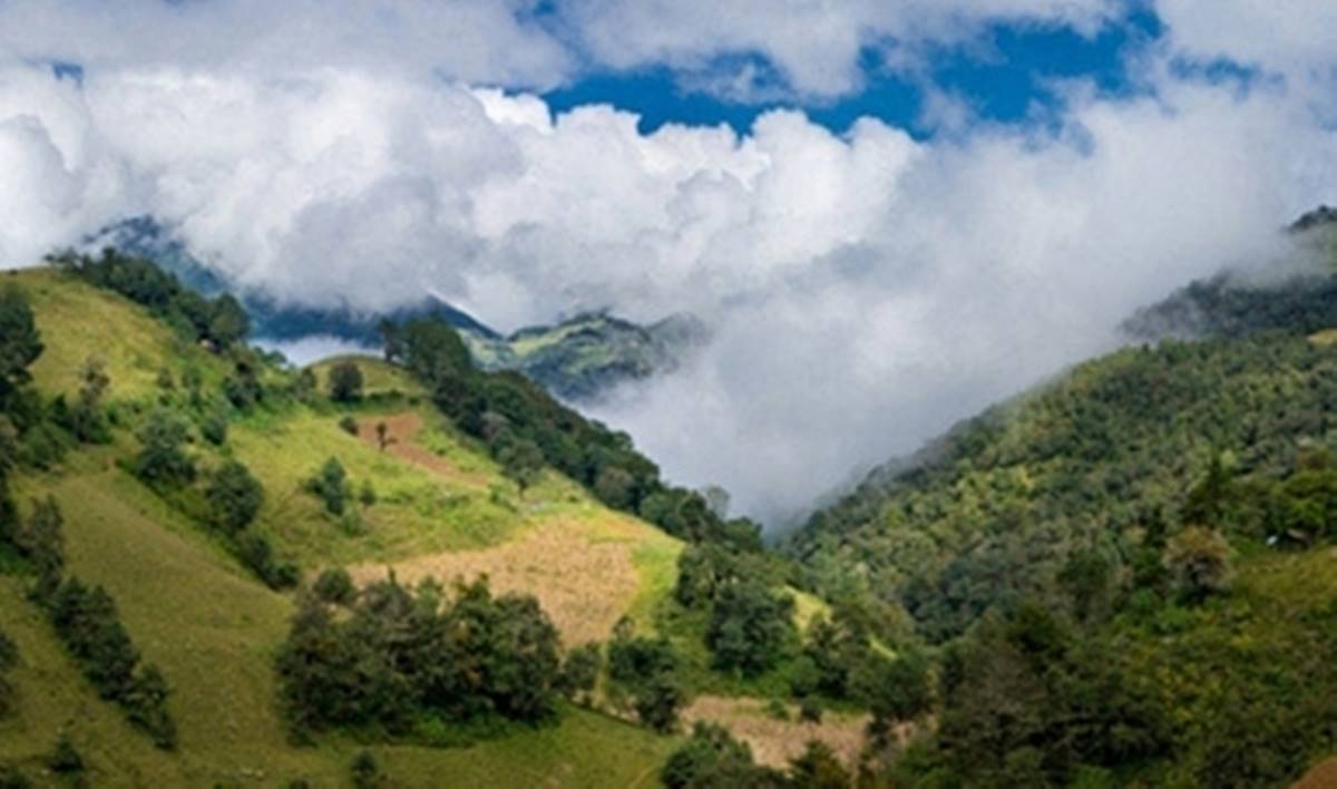 Reserva de la Biosfera Sierra del Abra Tanchipa. Foto: gob.mx