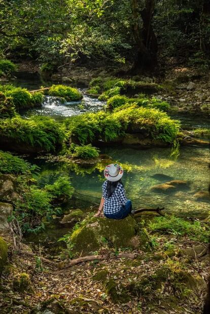 Foto: Facebook Región Media Potosina.