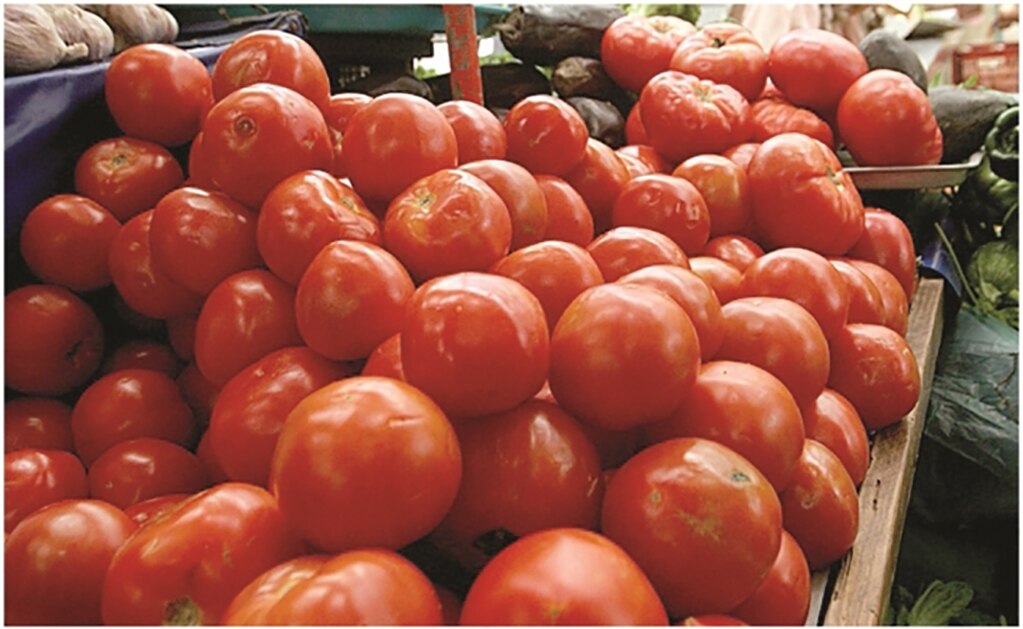 Exportadores de jitomate llegan a un acuerdo con EU para evitar aranceles