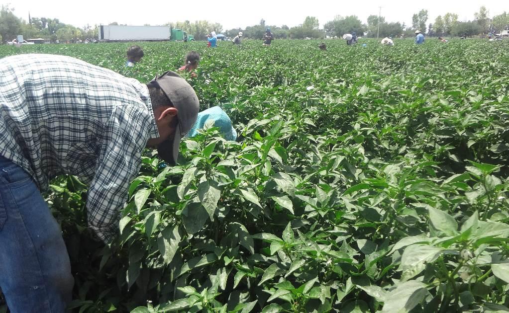 Alerta IMEI por falsos gestores de visas de trabajo