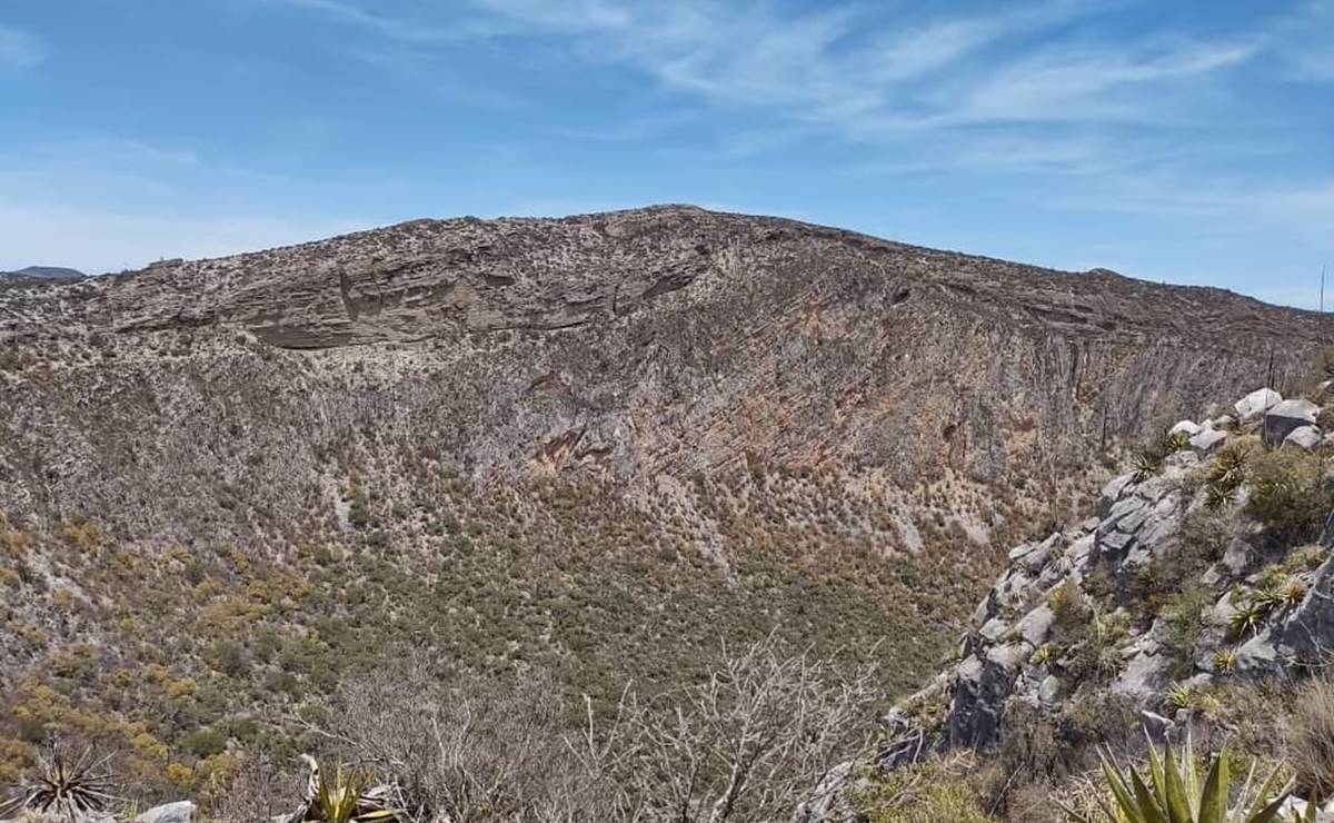 Con 5 mil especies endémicas, reforestarán la Joya Honda en Soledad