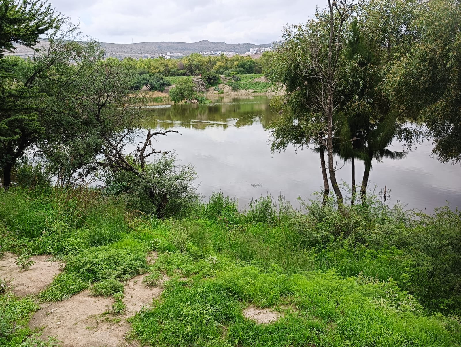 Foto: Jazmín Ramírez EL UNIVERSAL