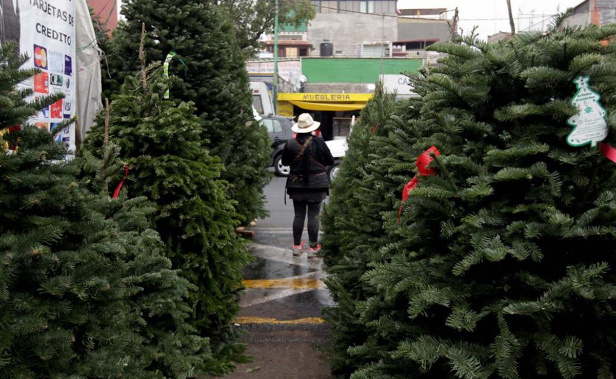 Diciembre 2020: ¿Cuáles son los días de descanso obligatorios?
