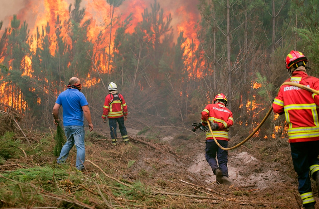 Combate PC incendios en Rioverde y Ciudad Valles