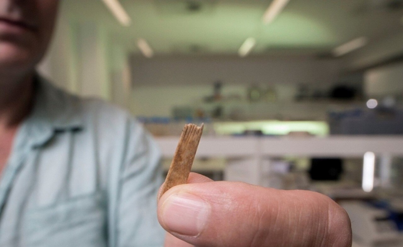 Descubren equipo más antiguo para hacer tatuajes