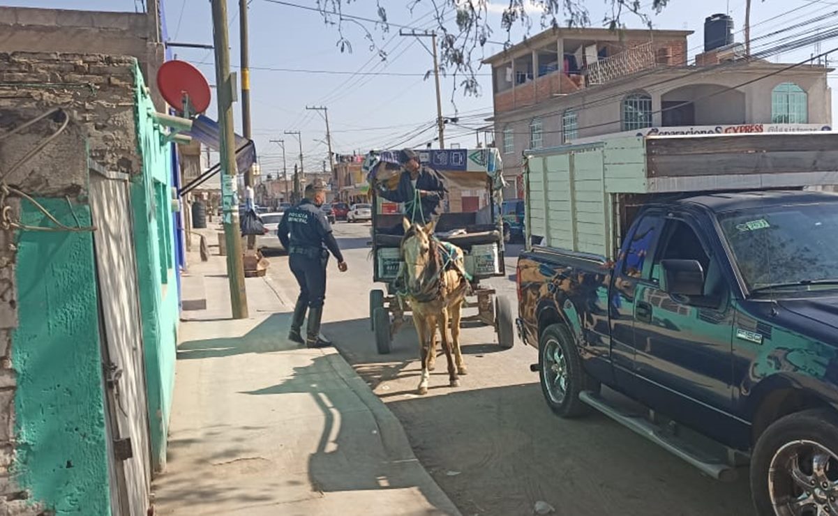 Rescatan a caballos usados por carretoneros de basura en Soledad