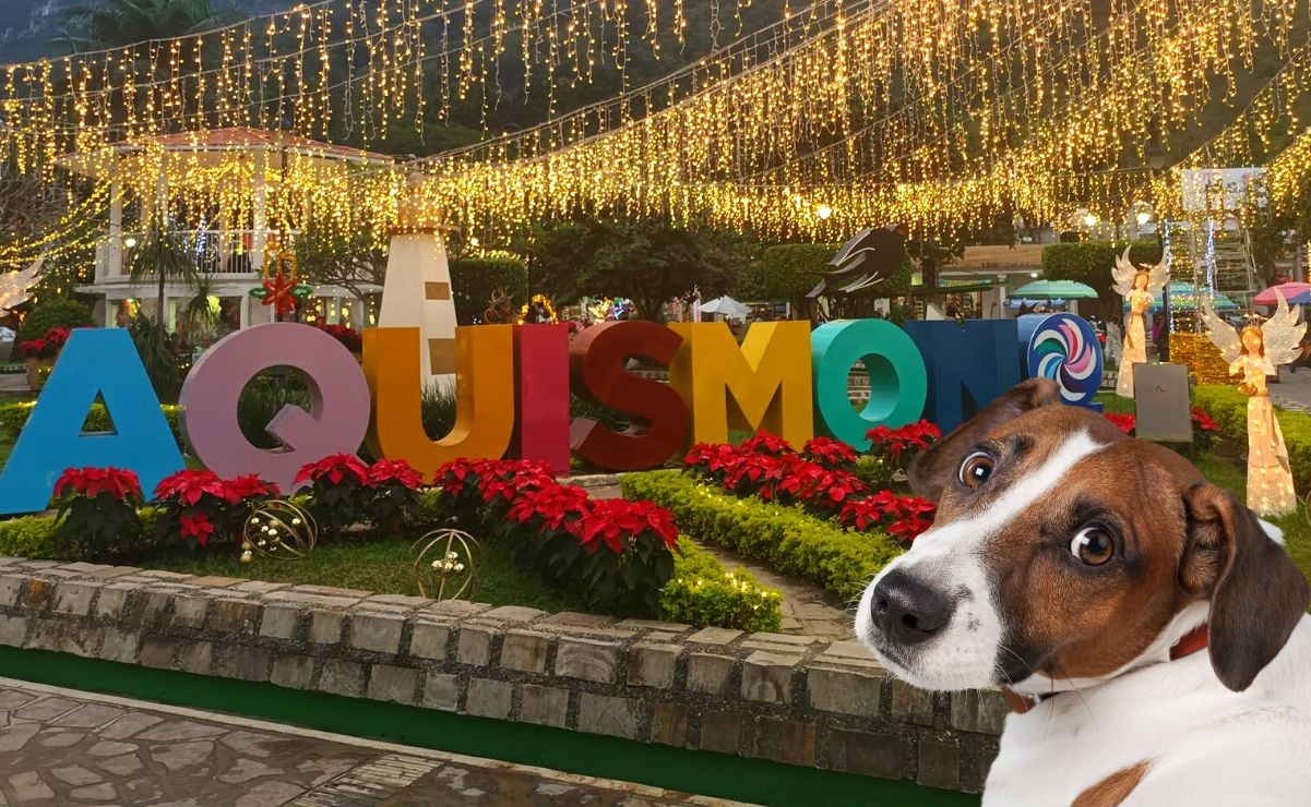 Vacaciones de temporada 2023. Lugares pet friendly puedes visitar en la Huasteca potosina