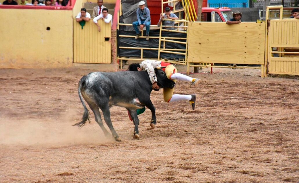 Festival taurino triunfa en FENAE 2019