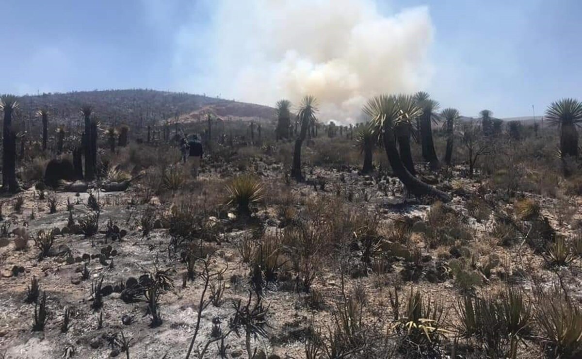 Proyectan abrir rutas de senderismo en áreas naturales del municipio de Soledad