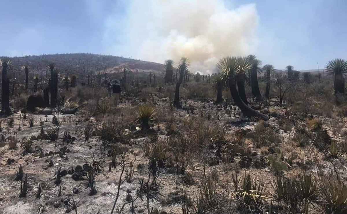 Analizan áreas naturales para abrir rutas de senderismo. Foto: Archivo