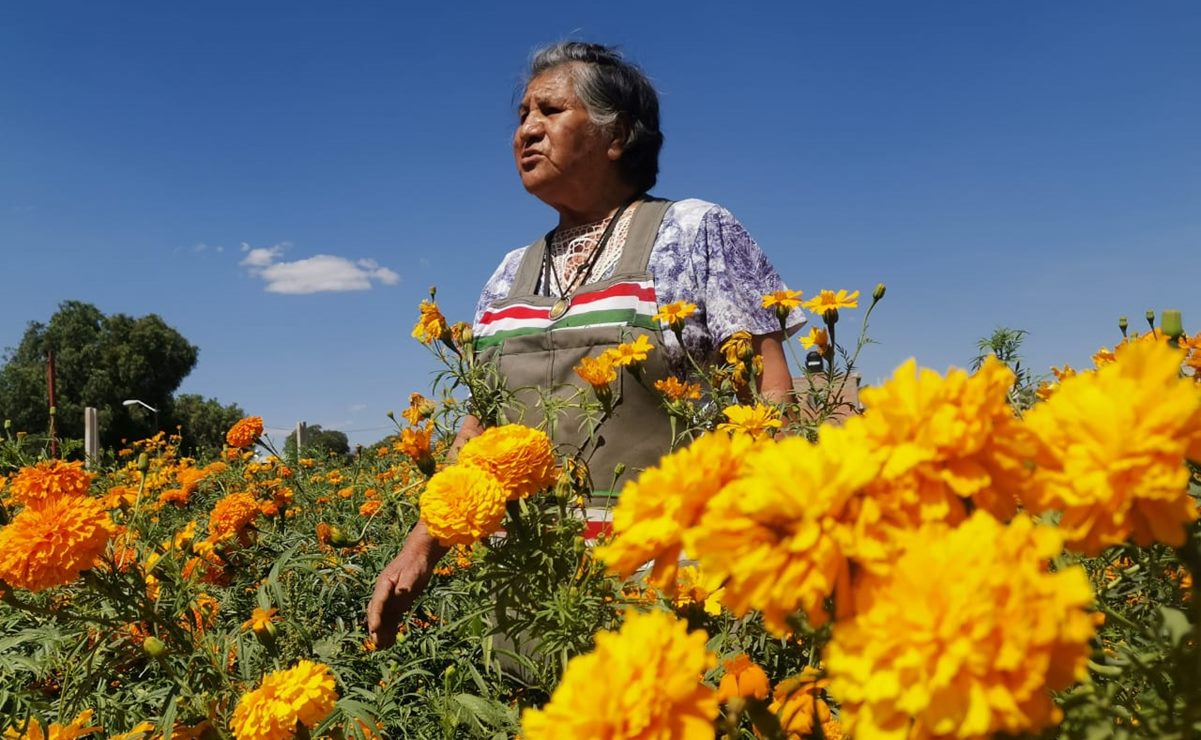 "Aunque sea poquito, pero sacamos algo", confía productora de cempasúchil en SLP