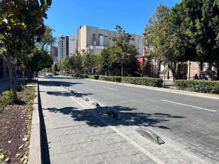 Este es el plan para reactivar comercios de la avenida Carranza, en la capital de San Luis