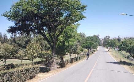 Por ventarrones cierran parques Tangamanga I y II; prevén que continúen en todo SLP