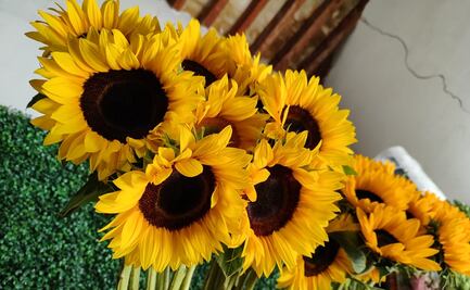 Girasoles, rosas o gerberas: qué flores regalar el 14 de febrero según el tipo de amor